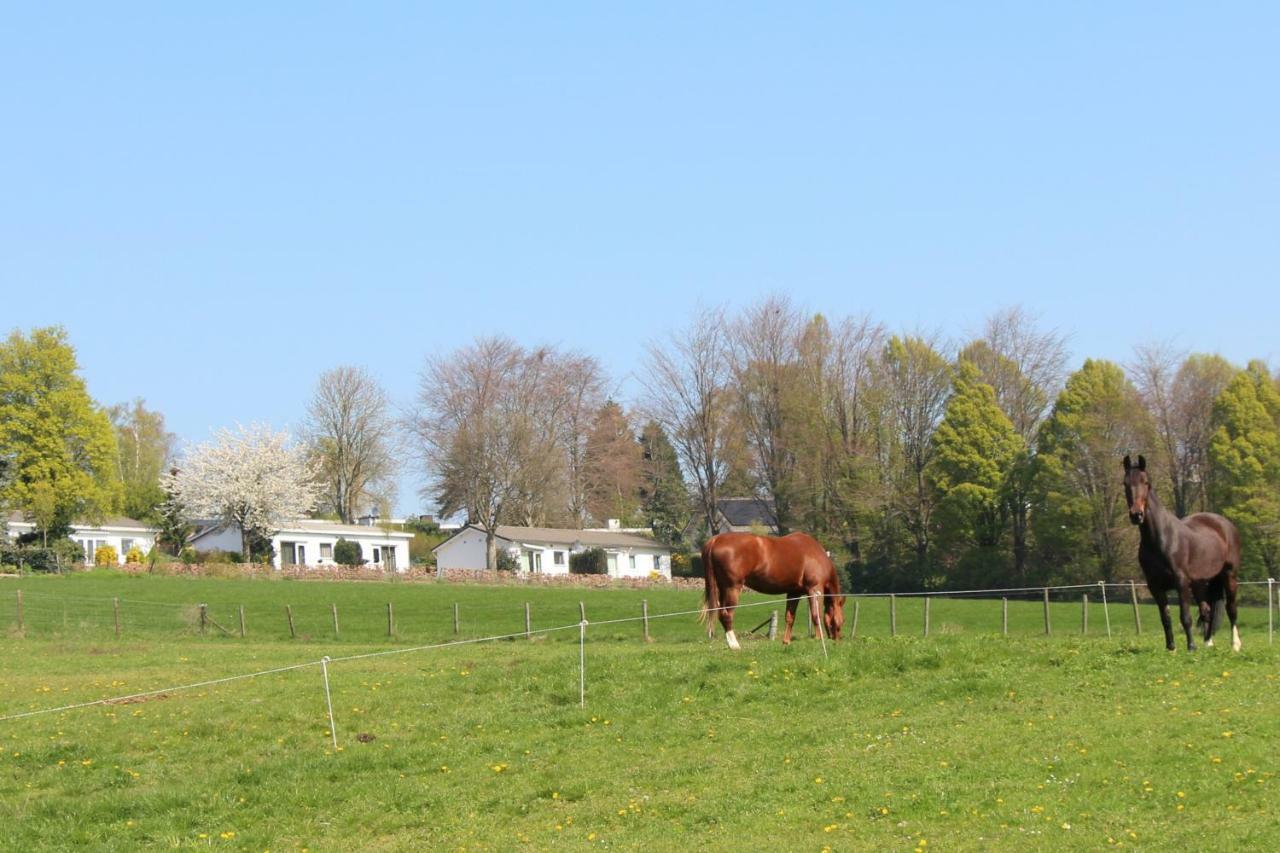 Domein Hellebeuk Met Uitzicht! Valkenburg/Klimmen Ngoại thất bức ảnh